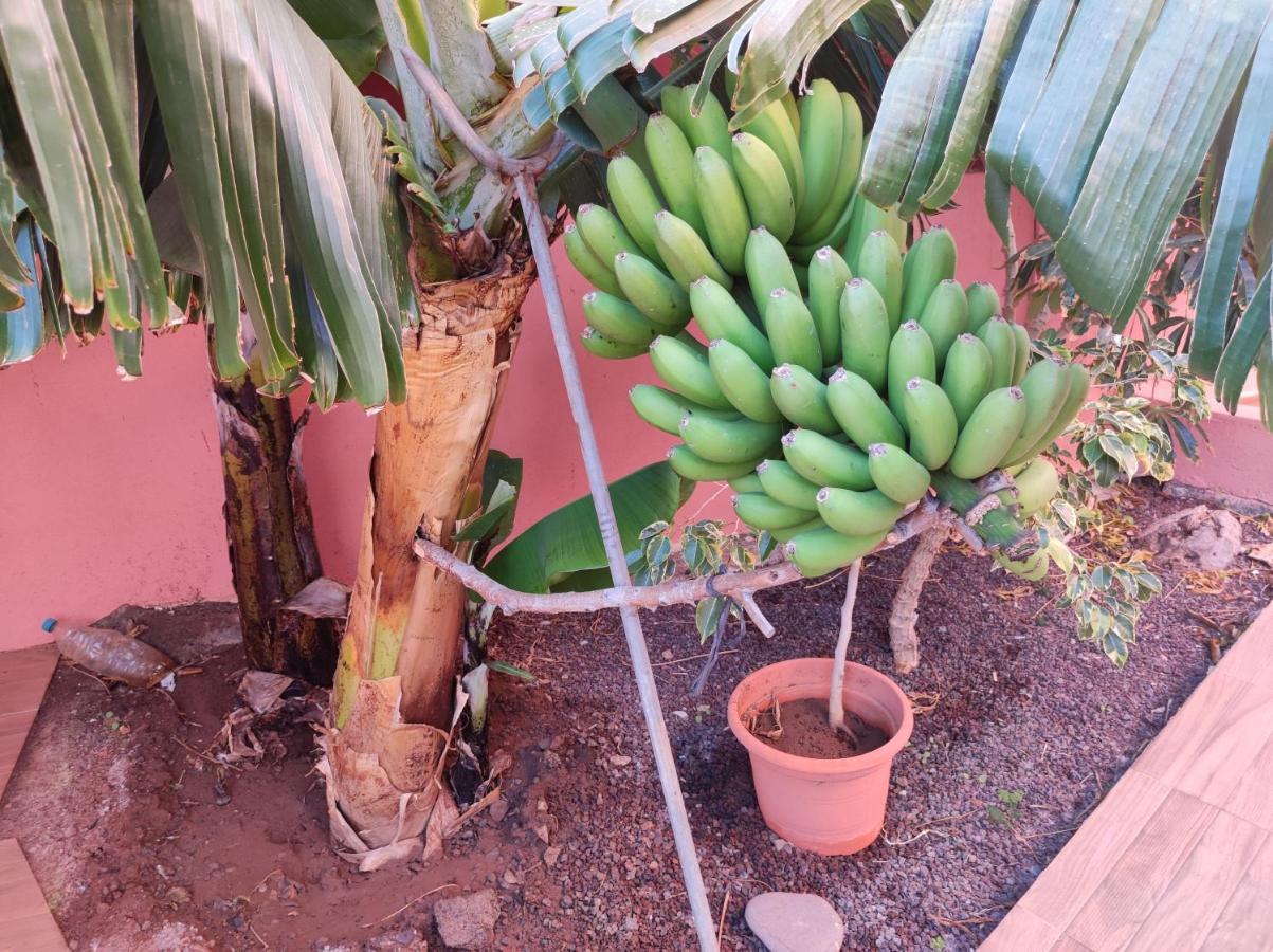 Casita La Gomera San Sebastián de la Gomera Εξωτερικό φωτογραφία